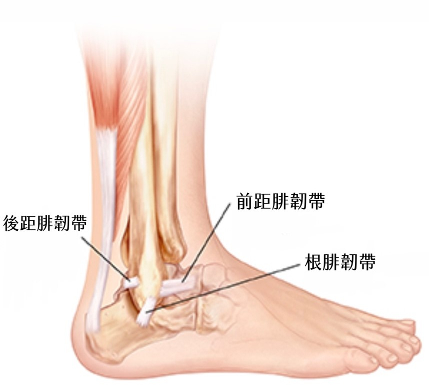 科目三的隱藏舞蹈傷害？小心跳到送醫！｜桃園物理治療