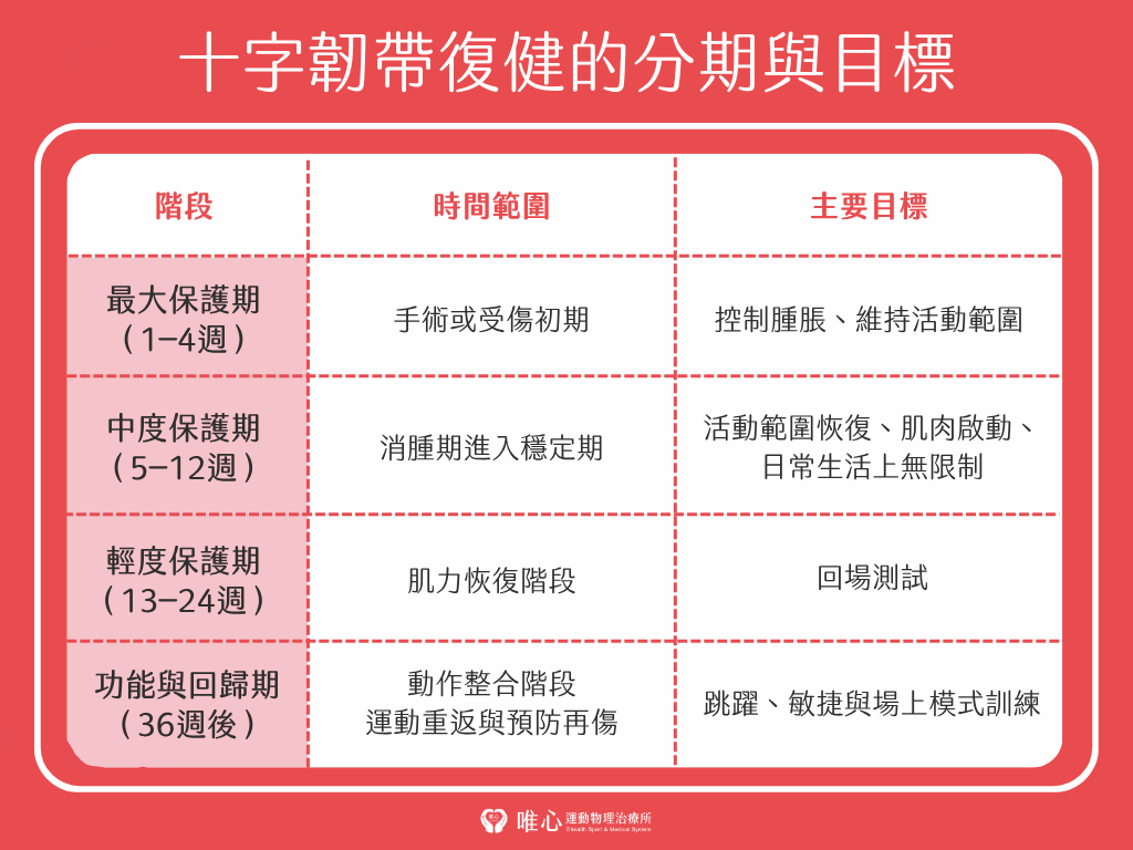 十字韌帶術後復健4階段時程表-從保護期到功能回歸期訓練重點