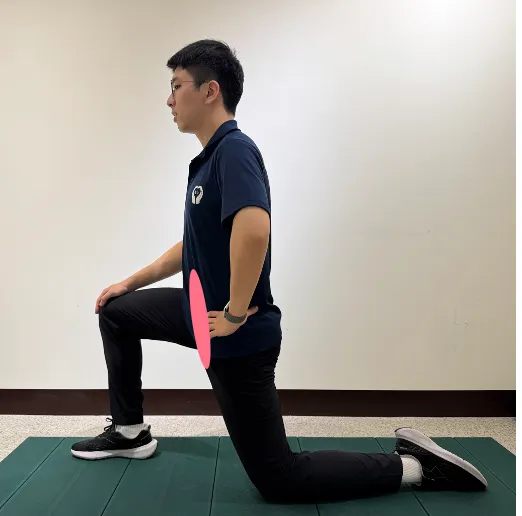 髖屈肌拉伸動作-半跪姿骨盆前推訓練