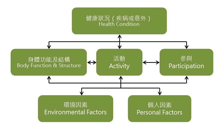 疼痛的拼圖及運動處方 | 運動復健,桃園運動復健