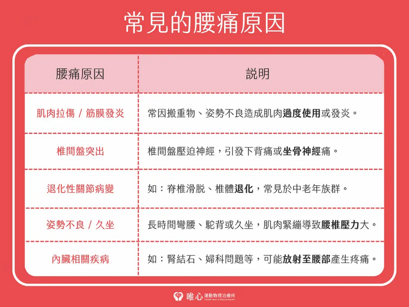 唯心運動醫療體系：專業腰痛原因診斷分類圖，解析神經、骨骼與肌肉引起的下背痛臨床症狀