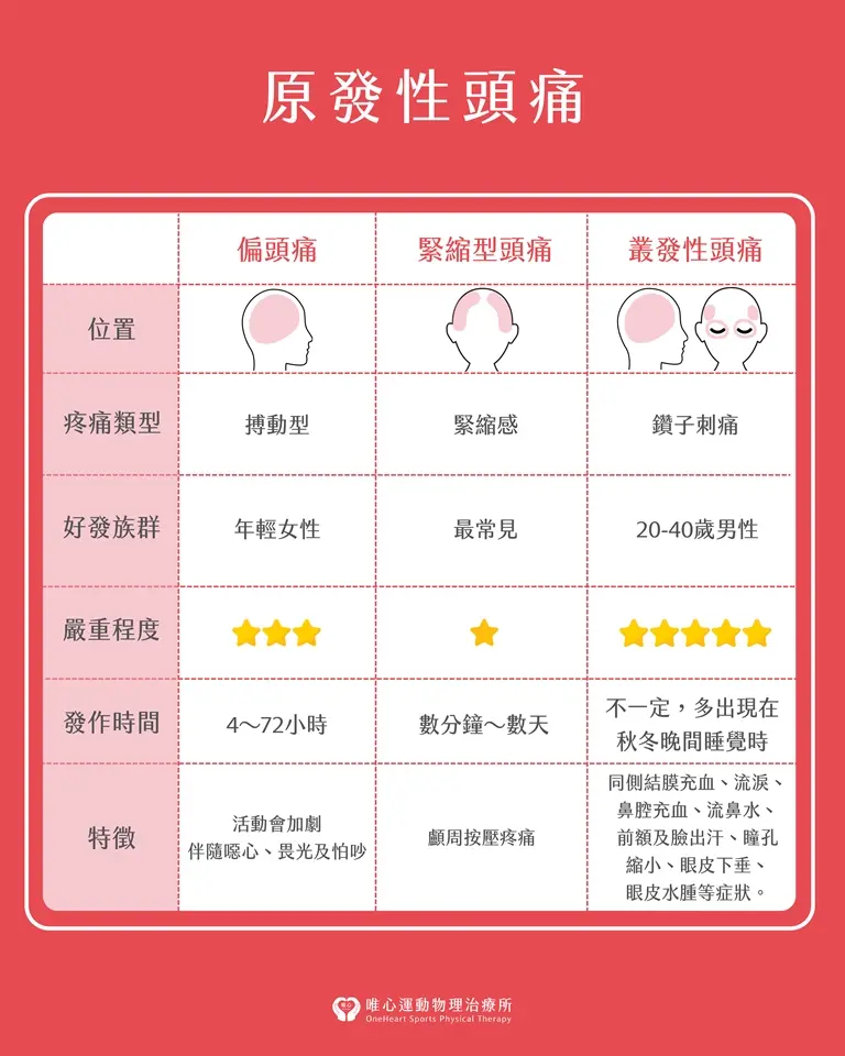 頭痛位置辨別圖:區分張力型頭痛、偏頭痛、叢集性頭痛與竇性頭痛的發作區域與疼痛特徵對照。